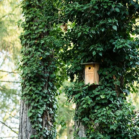 Hotel Engimatt & Garden Zurigo