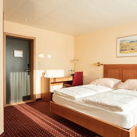 Engimatt & Garden Hotel