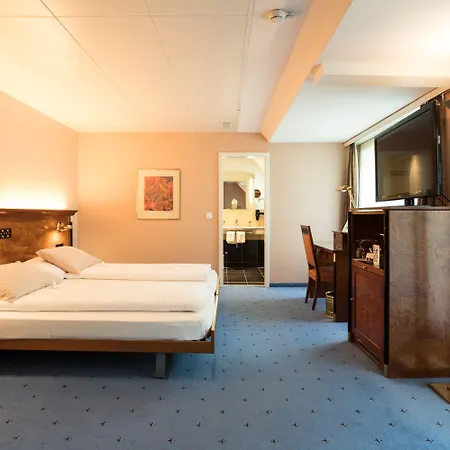 Engimatt City&garden Hotel