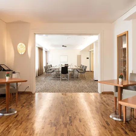 Hotel Engimatt City&garden 4*