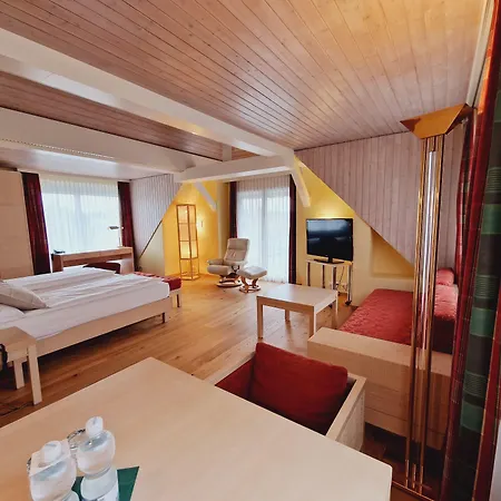 Hotel Engimatt City&garden