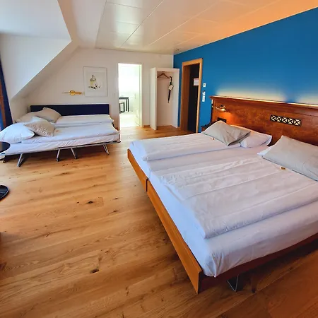 Ξενοδοχείο Engimatt & Garden Ζυρίχη