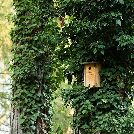 Engimatt & Garden