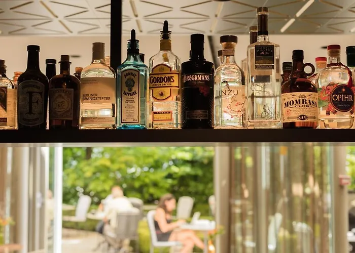 Hotel Engimatt & Garden 4*