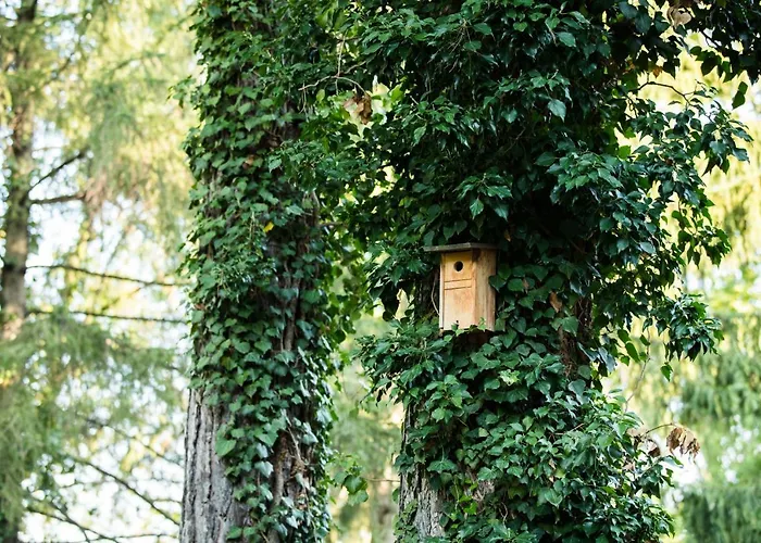 Hotel Engimatt & Garden Zurich